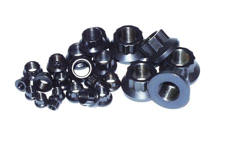 ARP 1/4-20 SS 12pt Nut Kit