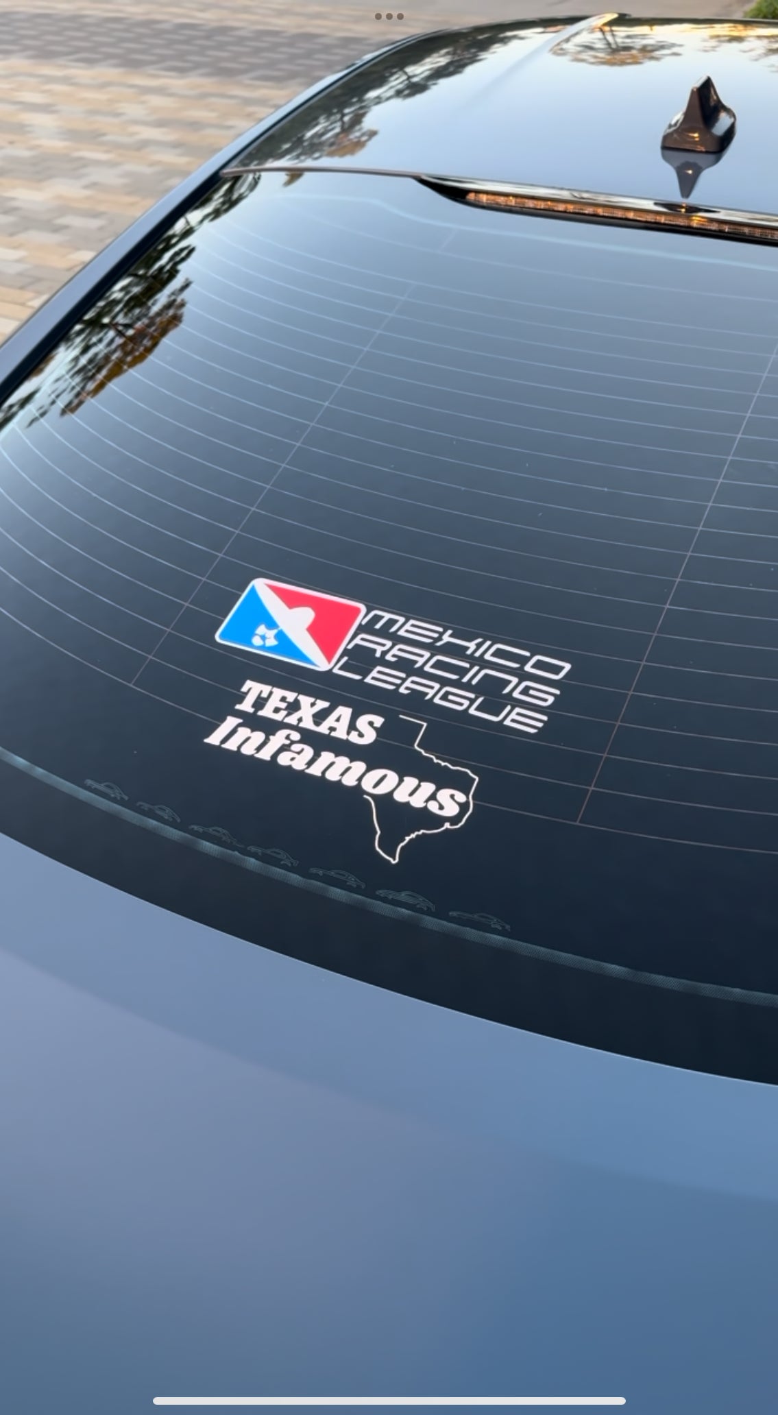 MRL Sticker Pack ( 100 entries )